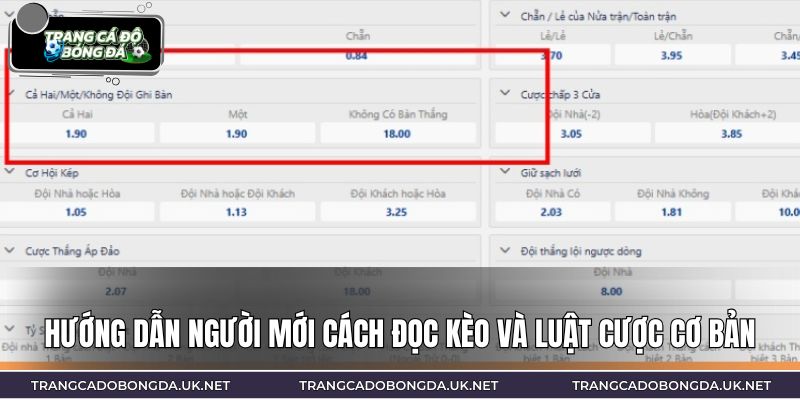 Hướng dẫn người mới cách đọc kèo và luật cược cơ bản